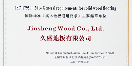 國標起草，權威保障